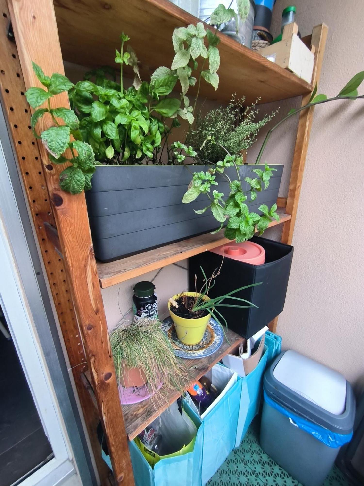 Cozy With Balcony