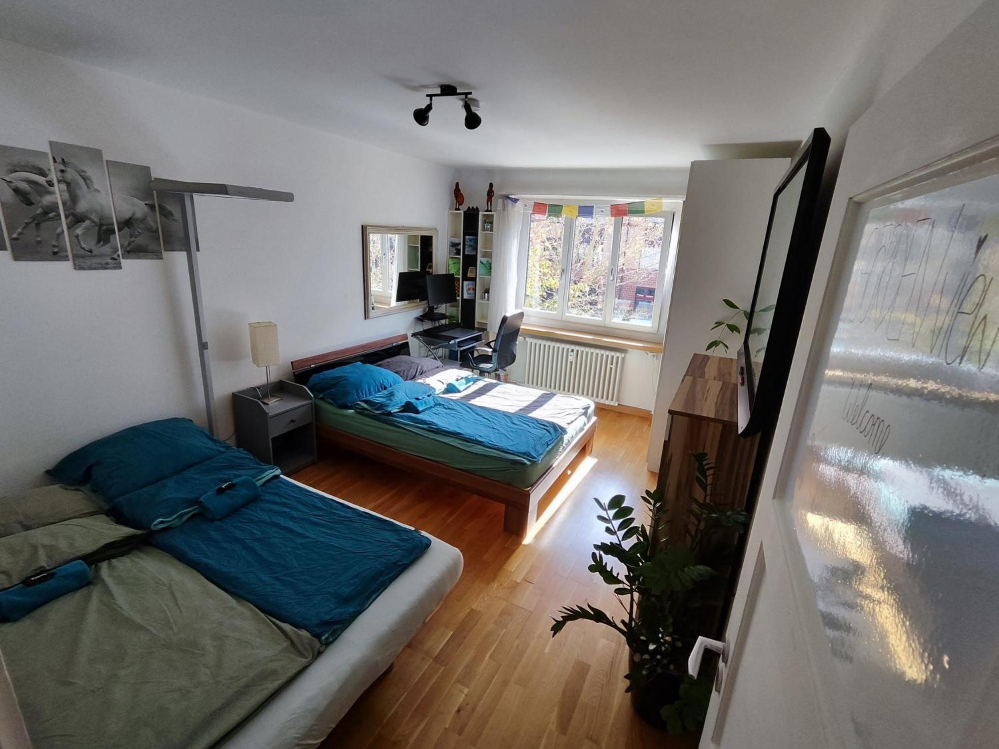 Apartment Cozy With Balcony Basel